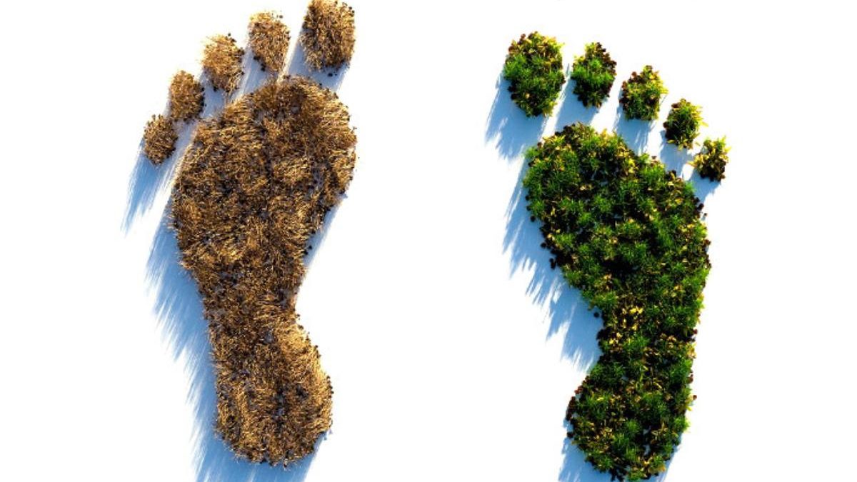 Ecological Footprint-Definition, What is biocapacity, And More