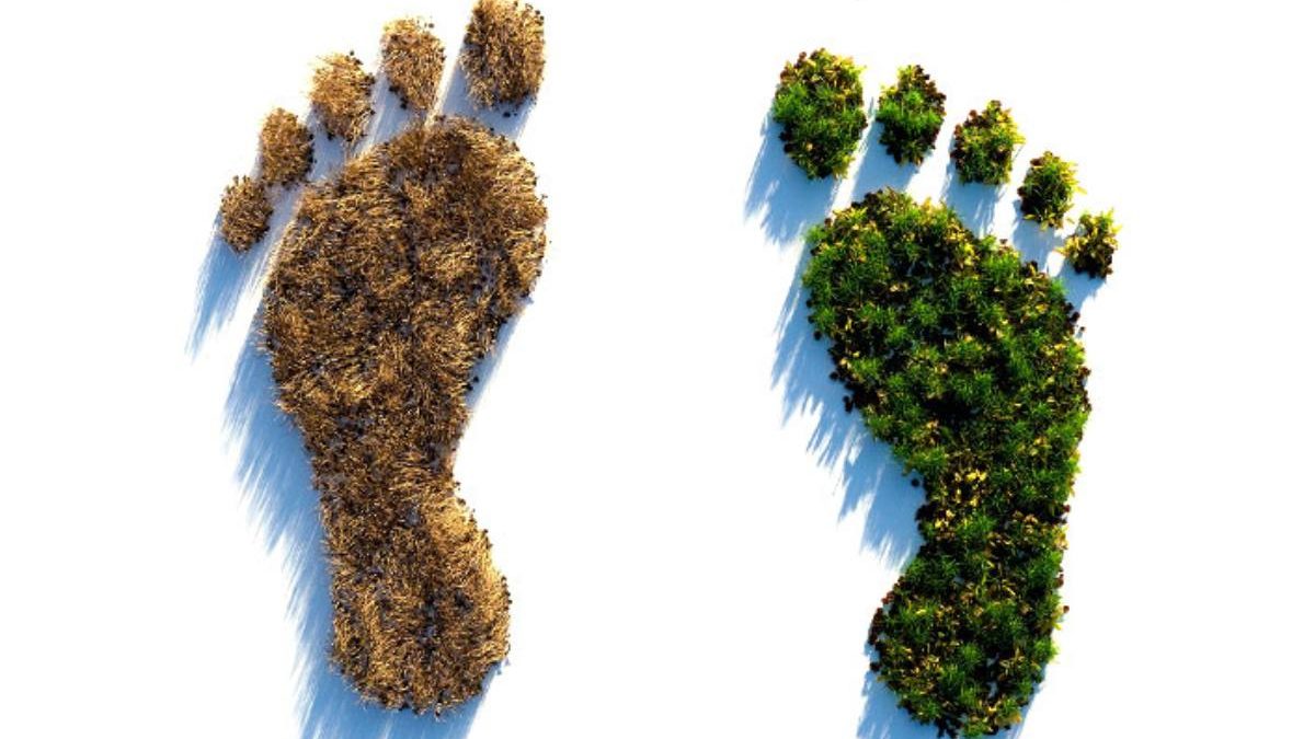 Ecological Footprint – Definition, What is Biocapacity?