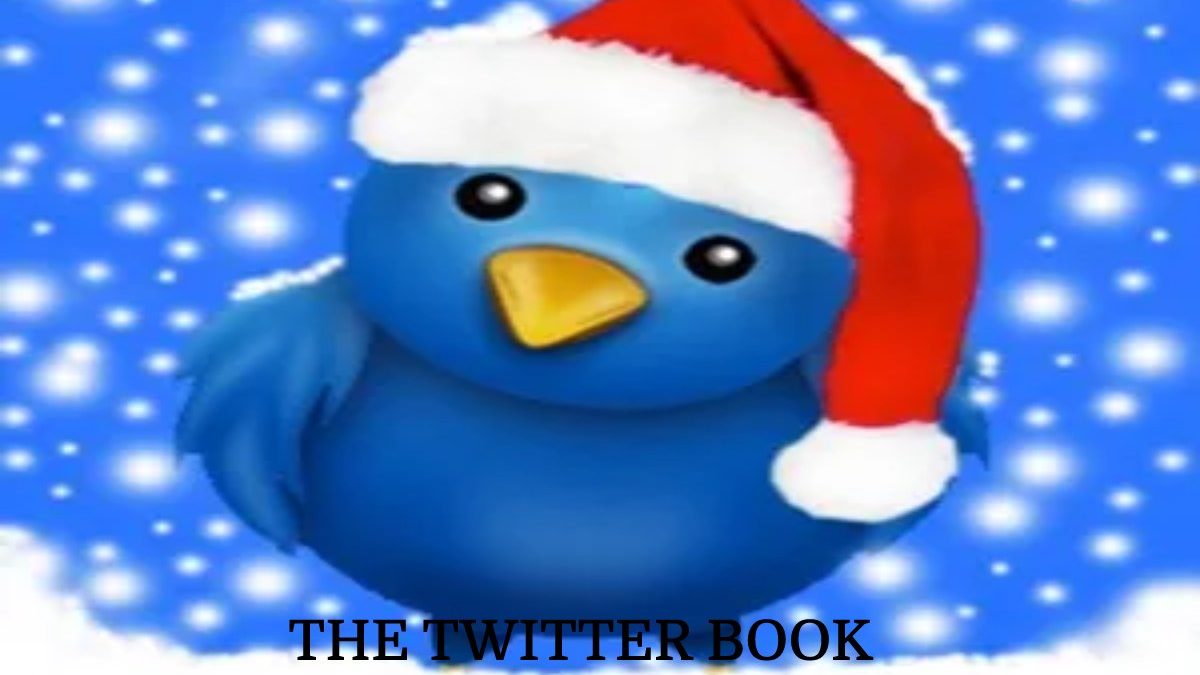 The Twitter Book, Summary, Synopsis, And More