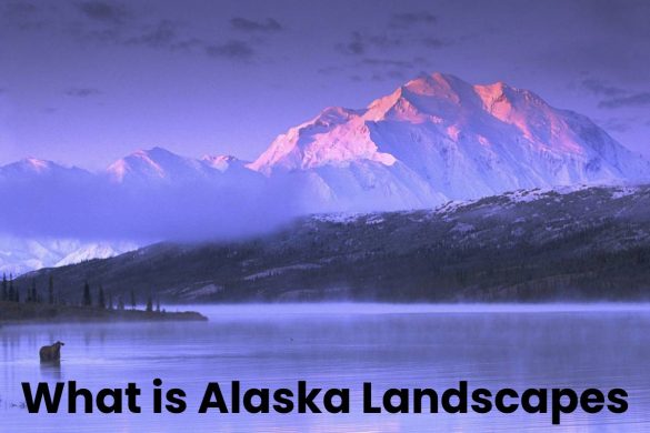 what is alaska landscapes