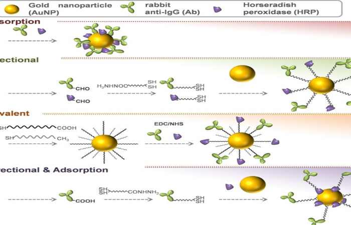 Discover the Atomic Masses Of Individual Components