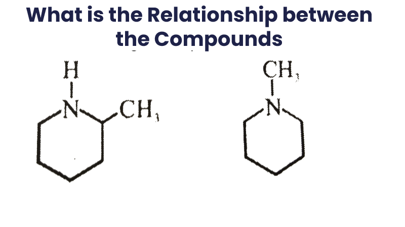 What is the Relationship between the Compounds