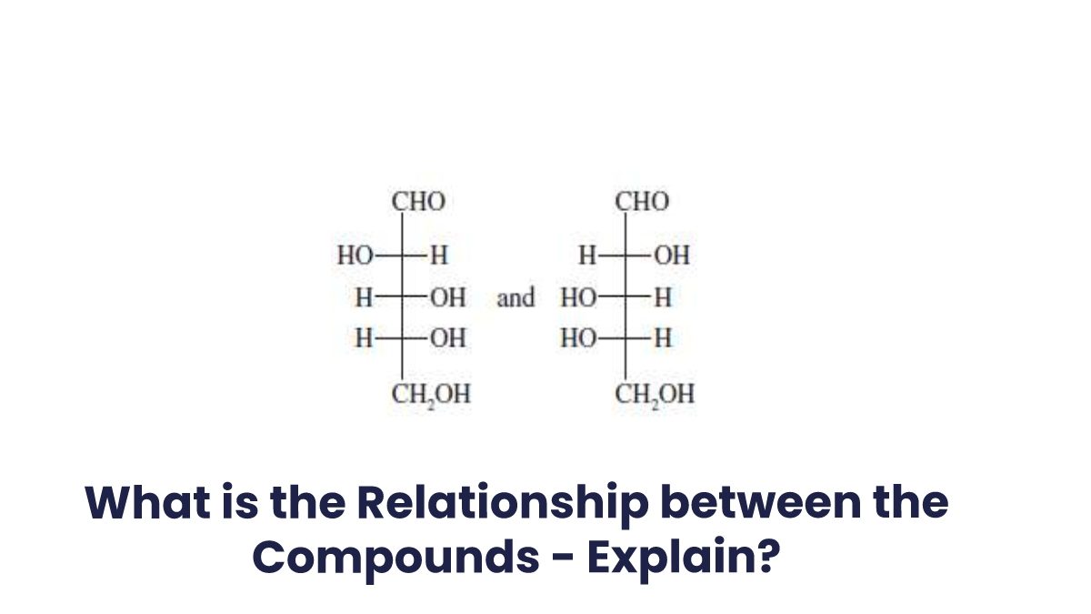 What is the Relationship between the Following Compounds – Explain?