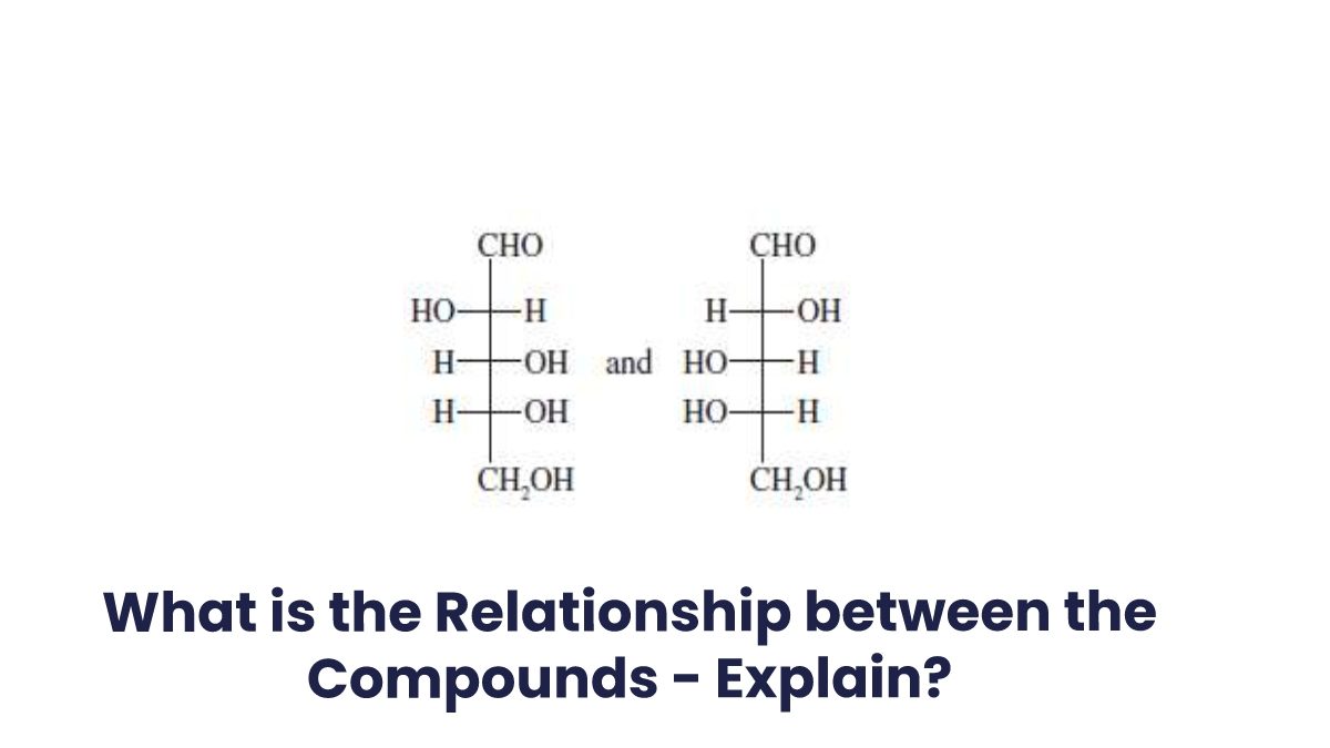 What is the Relationship Between the Following Compounds – Explain?