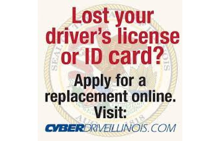 Illinois Driver's License