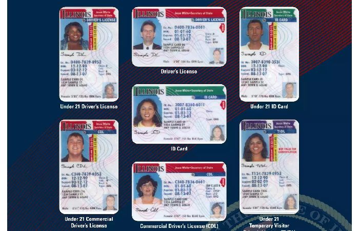 www cyberdriveillinois com