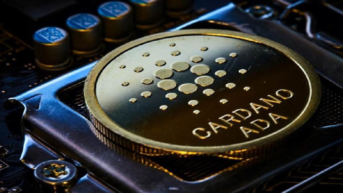 Here Is How to Choose the Best Cardano Gambling Sites