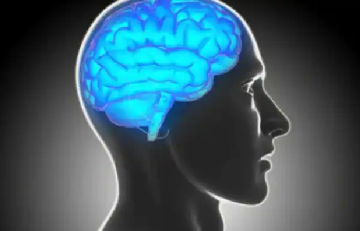 Wellhealthorganic.Com:Yogasanas-To-Improve-Memory
