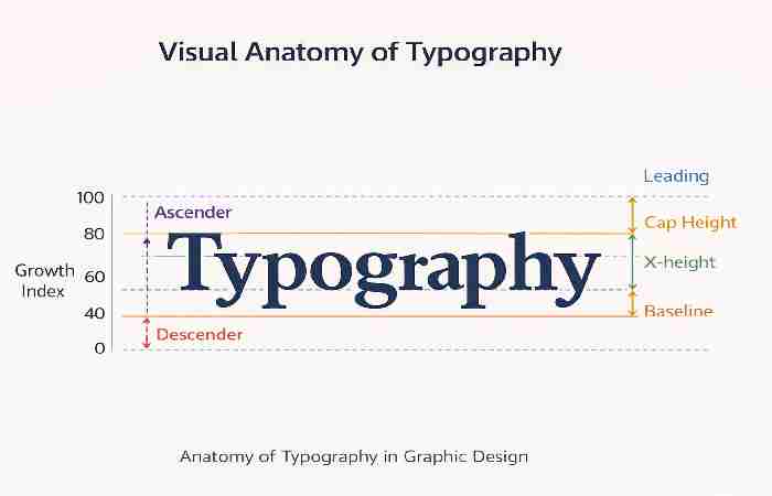anatomy of typography in graphic design