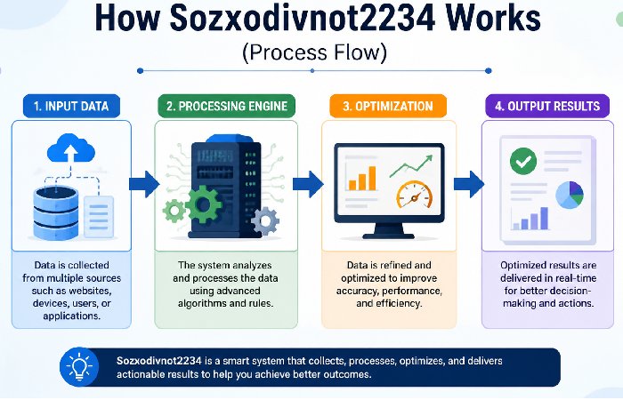 how sozxodivnot2234 works